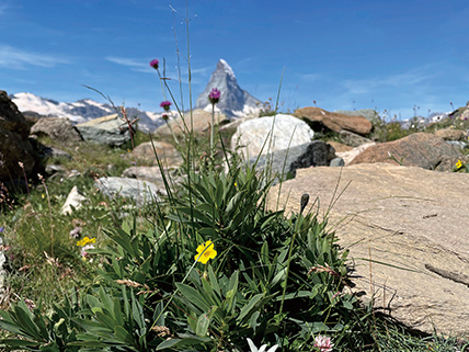 ハイキングモデルプラン