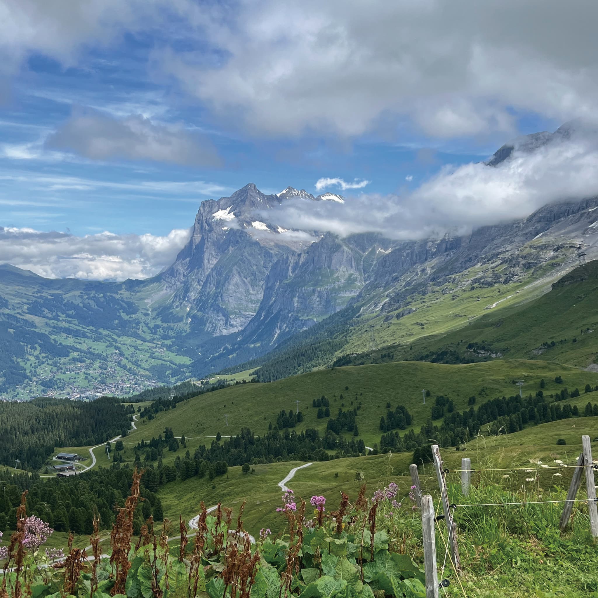ハイキングモデルプラン