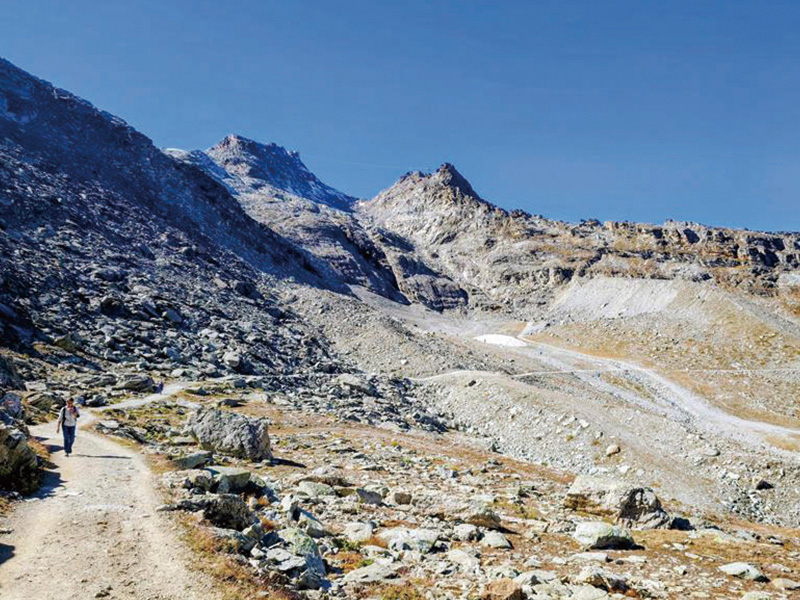 ハイキングモデルプラン