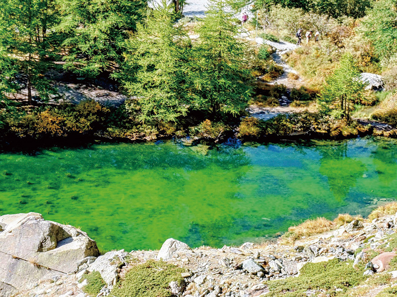 ハイキングモデルプラン