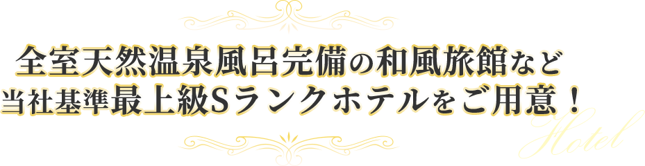 全室天然温泉風呂完備の和風旅館など当社基準最上級Sランクホテルをご用意！