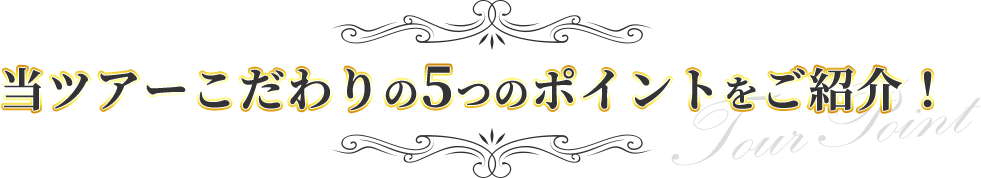 当ツアーこだわりの4つのポイントをご紹介！