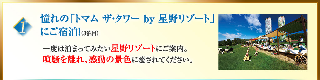 トマム ザ・タワー by 星野リゾート