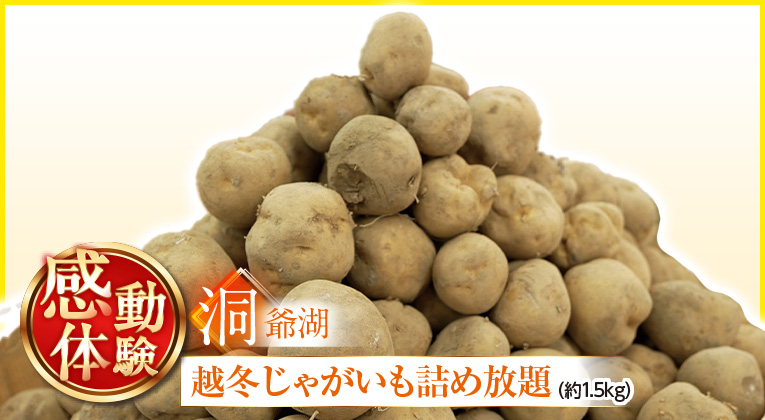 越冬じゃがいも詰め放題