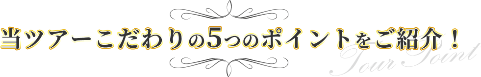 当ツアーこだわりのポイントをご紹介！