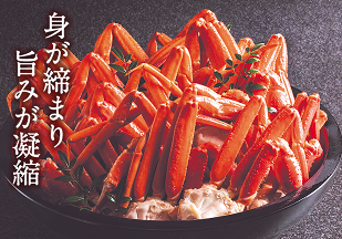 身が締まり旨みが凝縮
