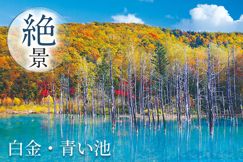 白金・青い池