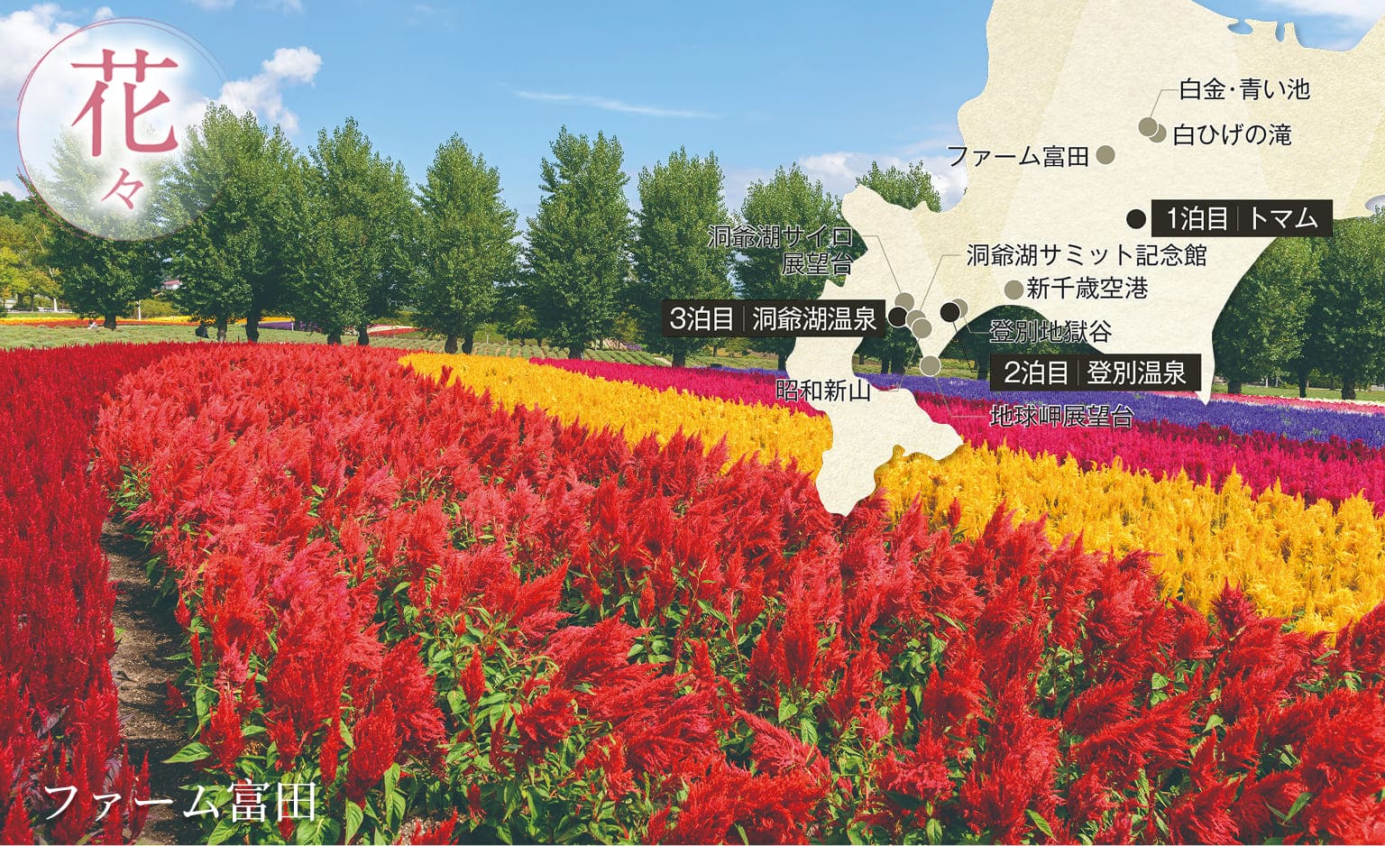 ファーム富田