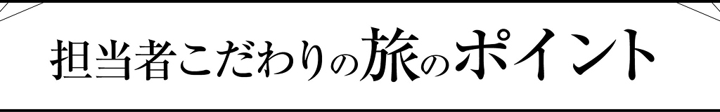 担当者こだわりの旅のポイント