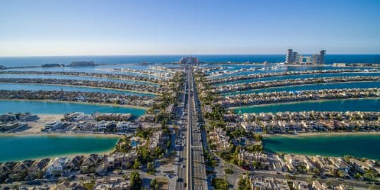 ザ・ビュー・アット・ザ・パーム