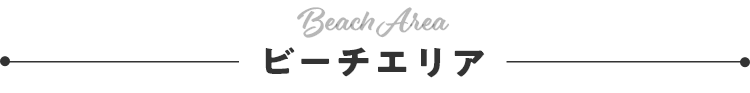 Beach Area ビーチエリア