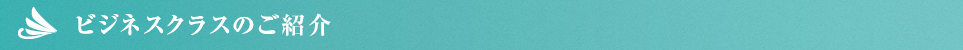ビジネスクラスのご紹介