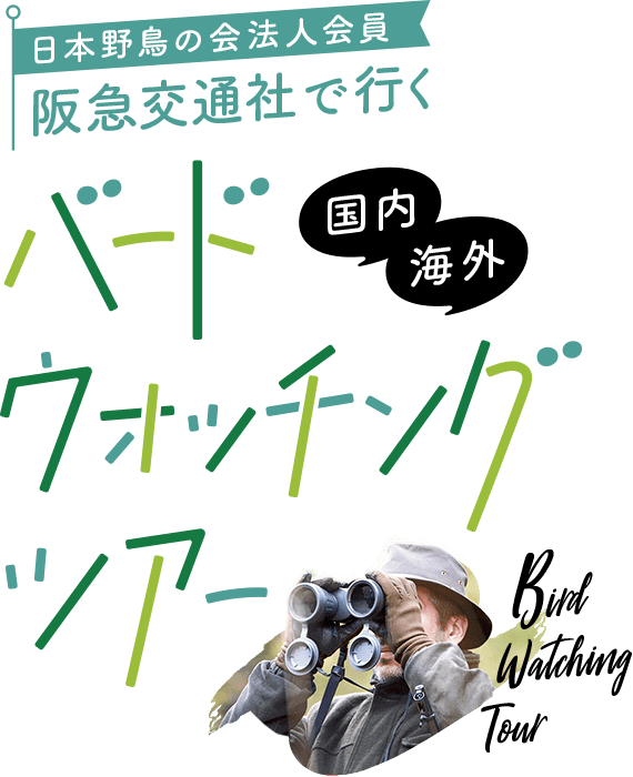 日本野鳥の法人会員 阪急交通社で行く 国内海外 バードウォッチングツアー