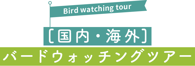 [国内・海外]バードウォッチングツアー