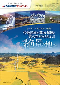 羅平　少数民族が暮らす秘境と菜の花が咲き乱れる絶景の地へ