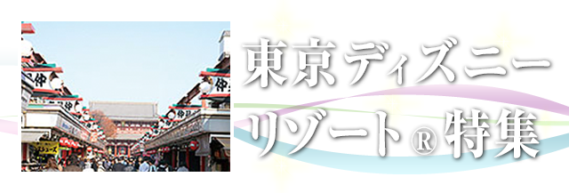 関東周辺観光付き 東京ディズニーリゾート 旅行 ツアー 阪急交通社