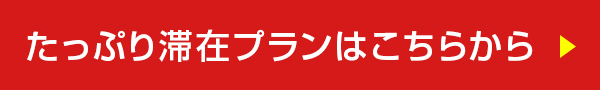 たっぷり滞在プランはこちらから