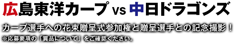 広島東洋カープ vs 中日ドラゴンズ