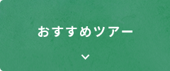 おすすめツアー