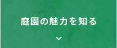 庭園の魅力を知る