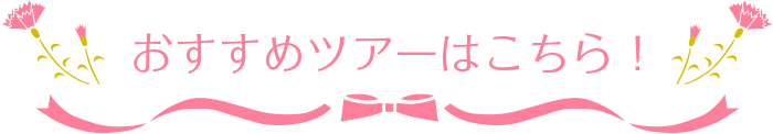 おすすめツアーはこちら！