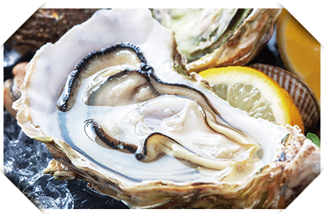 牡蠣料理