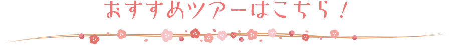 おすすめツアーはこちら！
