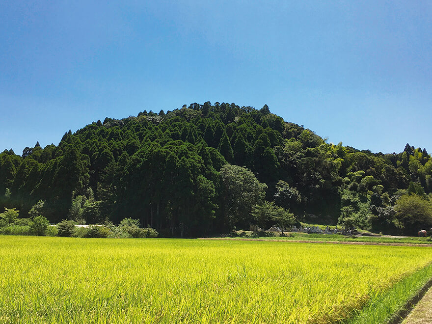 Village