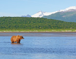 アラスカ｜カトマイ国立公園
