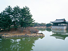 慶州｜雁鴨池