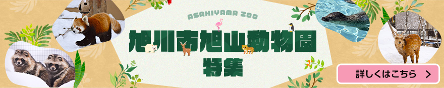 旭山動物園