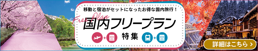 国内フリープラン
