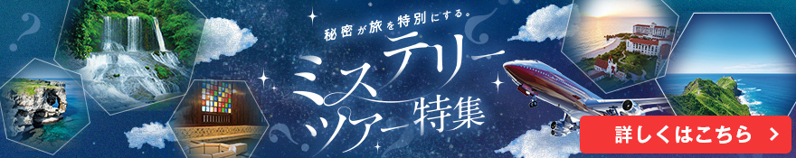 ミステリーツアー
