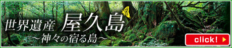 屋久島