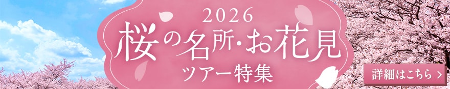 お花見特集